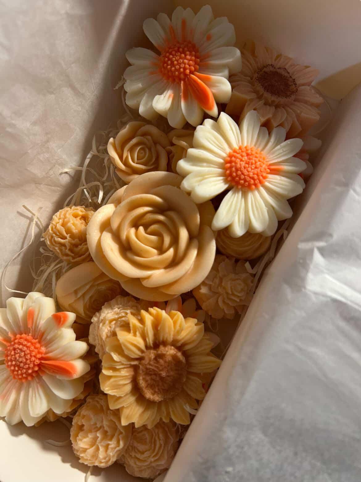 Coleccion de velas Vela-Vita