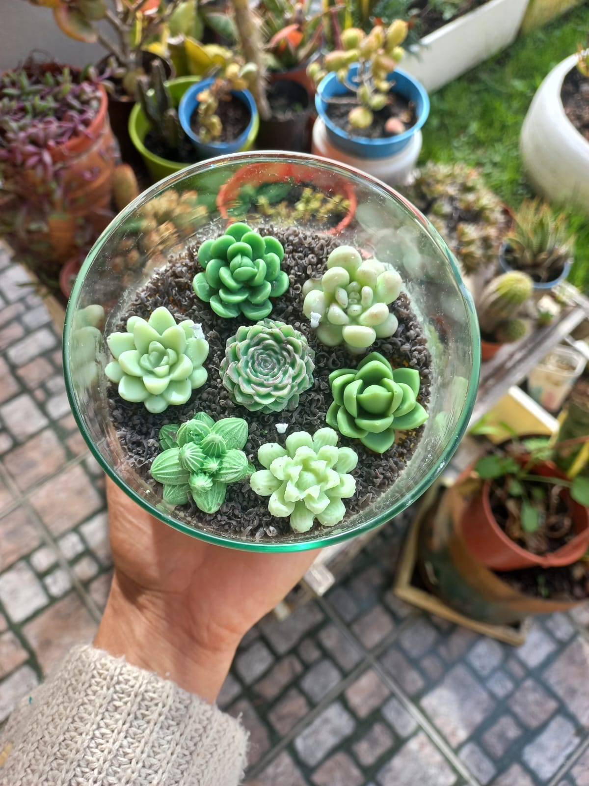 Terrarios de Vidrio para Decoracion