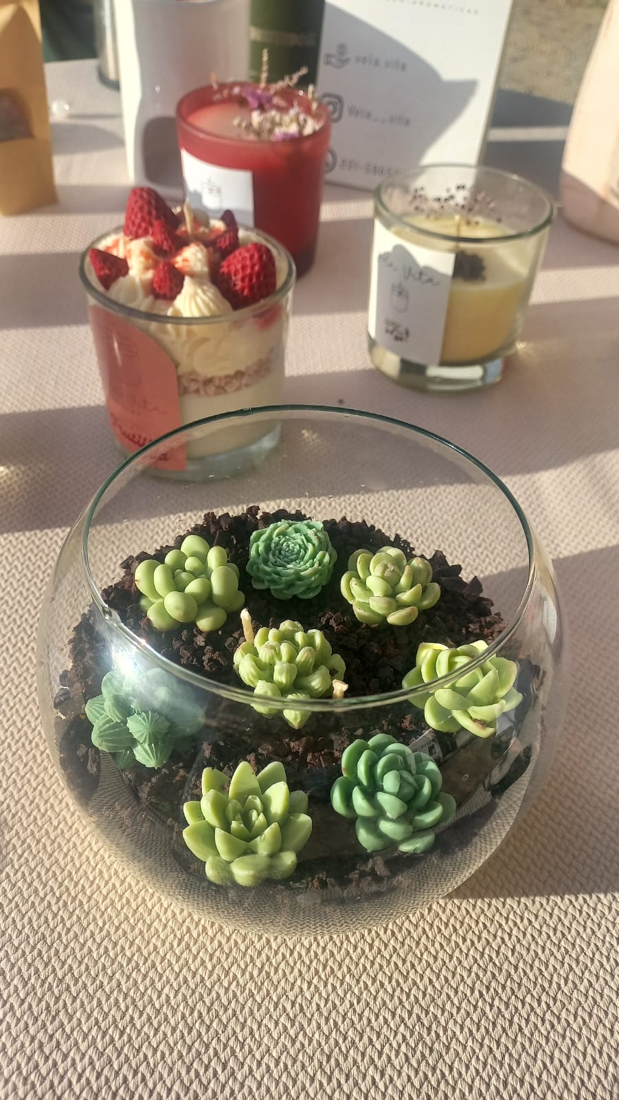 Terrarios para Regalo y Ambientacion
